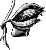 VFL104B.TIF