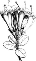 VFL102B.TIF