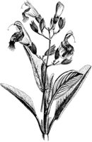 VFL095C.TIF