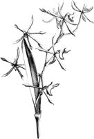 VFL095A.TIF