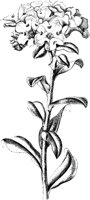 VFL094C.TIF