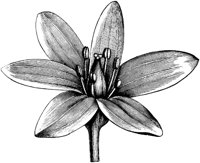 VFL090B.TIF