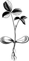 VFL089A.TIF