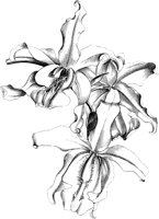 VFL087B.TIF