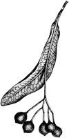 VFL087A.TIF