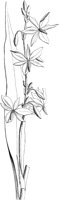 VFL086A.TIF