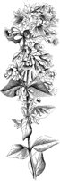 VFL085B.TIF