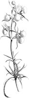 VFL084B.TIF