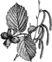 VFL083C.TIF
