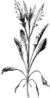 VFL079D.TIF