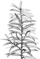 VFL078C.TIF