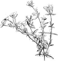 VFL078B.TIF