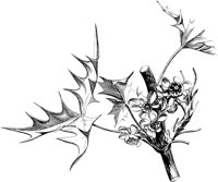 VFL076C.TIF