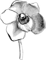 VFL076B.TIF