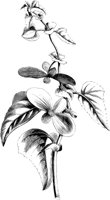 VFL076A.TIF