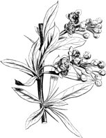 VFL075B.TIF