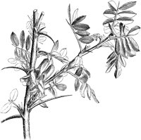 VFL075A.TIF