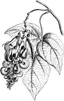 VFL074A.TIF