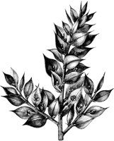 VFL073C.TIF