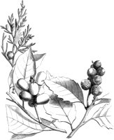 VFL072B.TIF