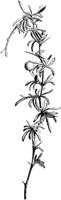 VFL069C.TIF