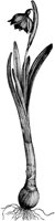 VFL068B.TIF