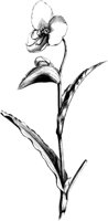 VFL067B.TIF