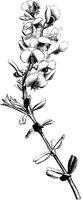VFL066A.TIF