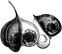 VFL063D.TIF