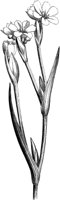 VFL060C.TIF