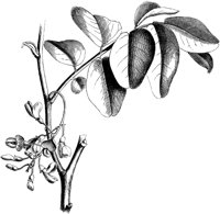 VFL060A.TIF