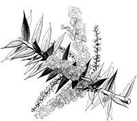 VFL059D.TIF