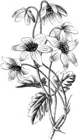 VFL059C.TIF
