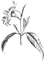 VFL059A.TIF