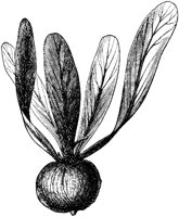 VFL055D.TIF