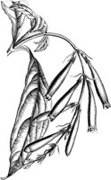 VFL051A.TIF