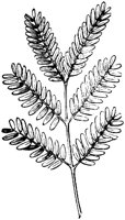 VFL049F.TIF