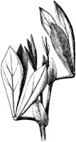 VFL049D.TIF