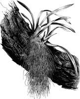 VFL049A.TIF