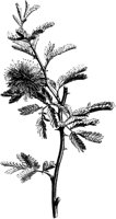 VFL047C.TIF