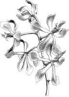 VFL044B.TIF