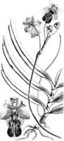 VFL044A.TIF