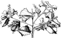 VFL043A.TIF