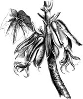 VFL042C.TIF