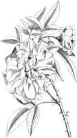 VFL039B.TIF