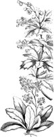 VFL037B.TIF