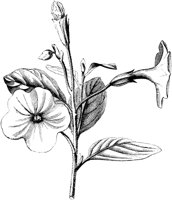 VFL036B.TIF