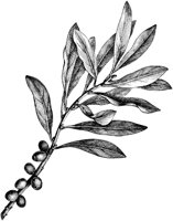 VFL035D.TIF