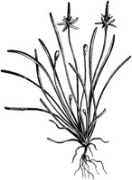 VFL035A.TIF
