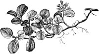 VFL034A.TIF